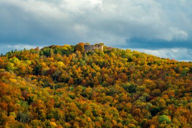 Bad Liebenstein - Thüringen - Almanya yakınlarındaki güzel park manzarasında küçük bir sonbahar yürüyüşü.