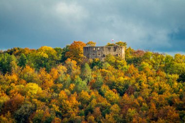 Bad Liebenstein - Thüringen - Almanya yakınlarındaki güzel park manzarasında küçük bir sonbahar yürüyüşü.