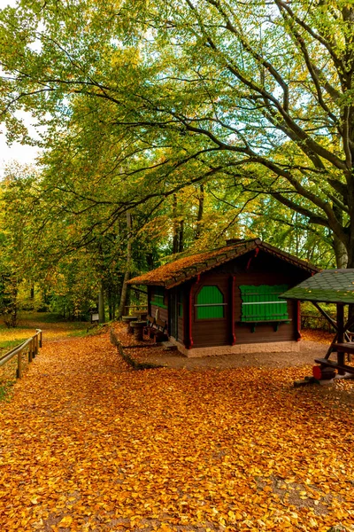 Bad Liebenstein - Thüringen - Almanya yakınlarındaki güzel park manzarasında küçük bir sonbahar yürüyüşü.