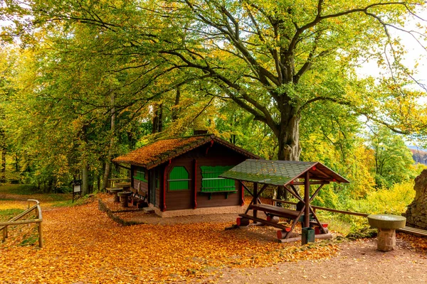 Μικρή Βόλτα Φθινόπωρο Μέσα Από Όμορφο Τοπίο Πάρκο Κοντά Στο — Φωτογραφία Αρχείου
