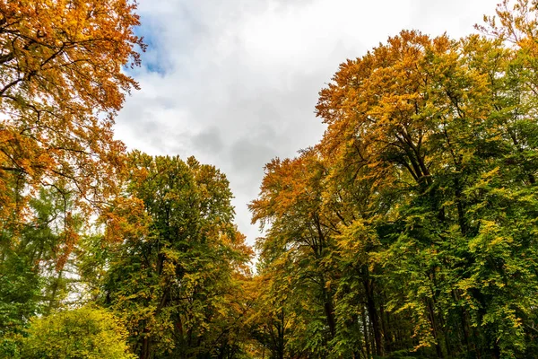 Небольшая Осенняя Прогулка Живописному Парковому Ландшафту Недалеко Бад Ибенштайна Тюрингия — стоковое фото