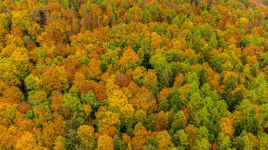 Schmalkalden 'in güzel doğasında Küçük Sonbahar Yürüyüşü - Thüringen - Almanya