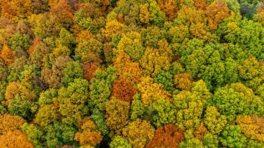 Schmalkalden 'in güzel doğasında Küçük Sonbahar Yürüyüşü - Thüringen - Almanya