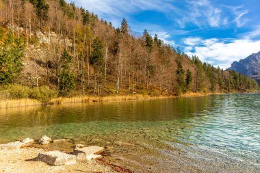 Fssen-Bavyera yakınlarındaki Allgu 'da küçük sonbahar yürüyüşü - Almanya
