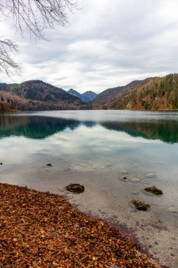 Fssen-Bavyera yakınlarındaki Allgu 'da küçük sonbahar yürüyüşü - Almanya