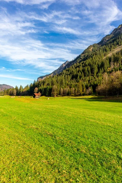 Pequeña Caminata Otoño Través Del Hermoso Paisaje Allgu Cerca Oberstdorf —  Fotos de Stock