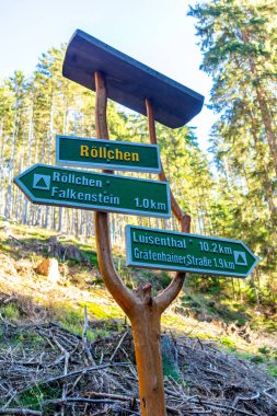 Thüringen Ormanı 'ndaki dar su barajının etrafında sonbahar yürüyüşü - Tambach-Dietharz - Almanya