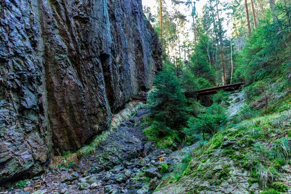 Passeggiata Autunnale Nella Stretta Diga Acqua Della Foresta Turingia Tambach — Foto Stock
