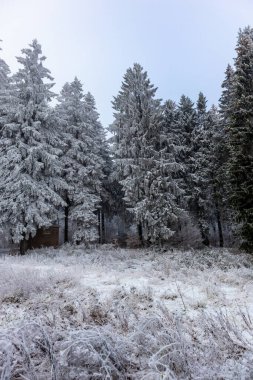 Floh-Seligenthal yakınlarındaki Rennsteig 'de ilk kısa kış yürüyüşü - Thüringen - Almanya