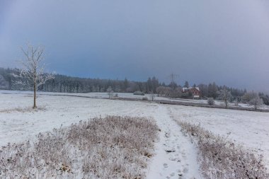 Floh-Seligenthal yakınlarındaki Rennsteig 'de ilk kısa kış yürüyüşü - Thüringen - Almanya