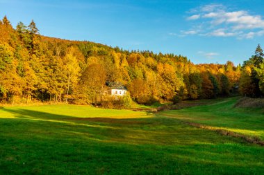 Steinbach-Hallenberg - Thüringen - Almanya yakınlarındaki bir sonbahar gününün ihtişamlı güneşinde gezinmek