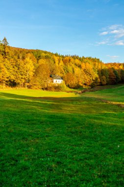 Steinbach-Hallenberg - Thüringen - Almanya yakınlarındaki bir sonbahar gününün ihtişamlı güneşinde gezinmek