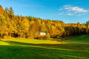 Steinbach-Hallenberg - Thüringen - Almanya yakınlarındaki bir sonbahar gününün ihtişamlı güneşinde gezinmek