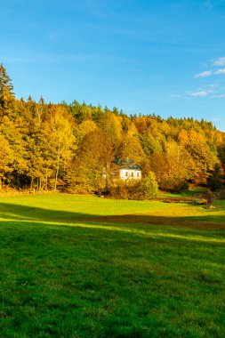 Steinbach-Hallenberg - Thüringen - Almanya yakınlarındaki bir sonbahar gününün ihtişamlı güneşinde gezinmek