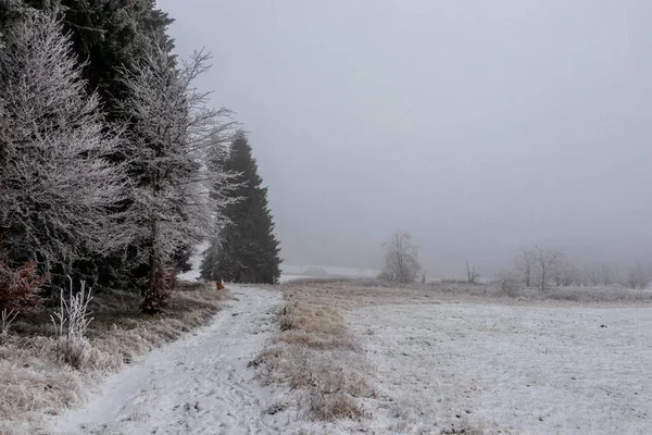 Primeira Curta Caminhada Inverno Rennsteig Perto Floh Seligenthal Turíngia Alemanha — Fotografia de Stock