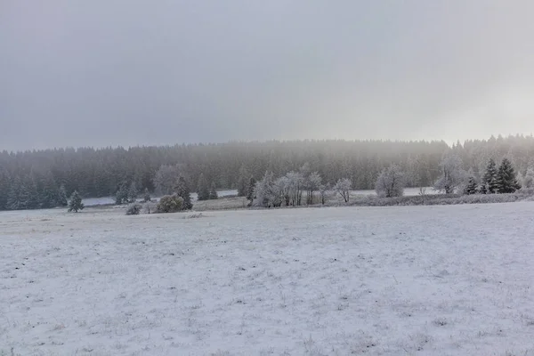 Eerste Korte Winterwandeling Rennsteig Bij Floh Seligenthal Thüringen Duitsland — Stockfoto