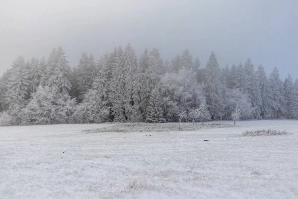 Первый Короткий Зимний Поход Реке Флох Селигенталем Тюрингия Германия — стоковое фото