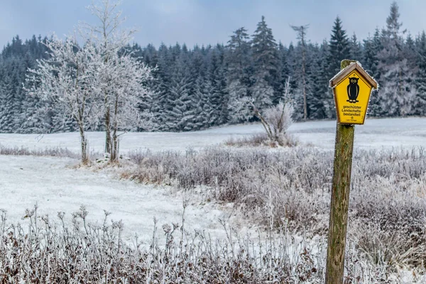 在德国图林根州弗洛 塞利根塔尔附近的Rennsteig进行了第一次短暂的冬季远足 — 图库照片