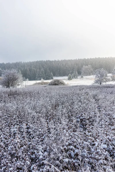 Pierwsza Krótka Zimowa Wędrówka Rennsteig Koło Floh Seligenthal Turyngia Niemcy — Zdjęcie stockowe