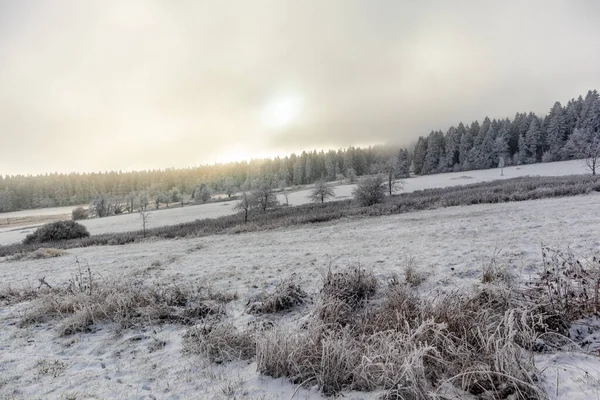 stock image First short winter hike on the Rennsteig near Floh-Seligenthal - Thuringia - Germany