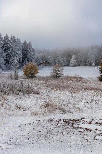 Primeira Curta Caminhada Inverno Rennsteig Perto Floh Seligenthal Turíngia Alemanha — Fotografia de Stock