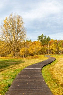 Schwarzen Mağribi - Fladungen - Bavyera yakınlarındaki Rhn 'de kış gezisi