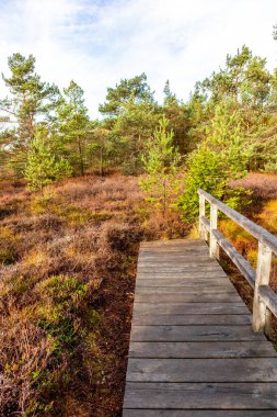 Schwarzen Mağribi - Fladungen - Bavyera yakınlarındaki Rhn 'de kış gezisi