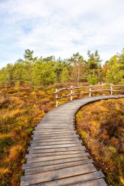 Schwarzen Mağribi - Fladungen - Bavyera yakınlarındaki Rhn 'de kış gezisi