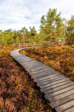 Schwarzen Mağribi - Fladungen - Bavyera yakınlarındaki Rhn 'de kış gezisi