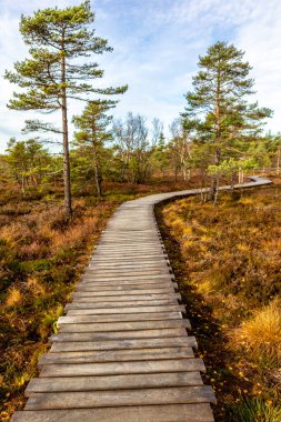 Schwarzen Mağribi - Fladungen - Bavyera yakınlarındaki Rhn 'de kış gezisi