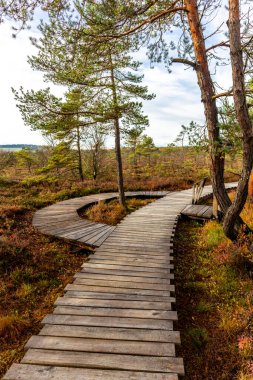 Schwarzen Mağribi - Fladungen - Bavyera yakınlarındaki Rhn 'de kış gezisi
