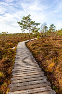 Schwarzen Mağribi - Fladungen - Bavyera yakınlarındaki Rhn 'de kış gezisi