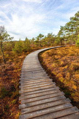 Schwarzen Mağribi - Fladungen - Bavyera yakınlarındaki Rhn 'de kış gezisi