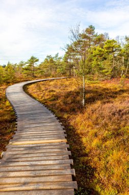 Schwarzen Mağribi - Fladungen - Bavyera yakınlarındaki Rhn 'de kış gezisi
