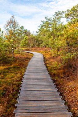 Schwarzen Mağribi - Fladungen - Bavyera yakınlarındaki Rhn 'de kış gezisi