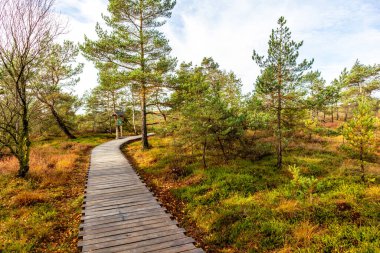Schwarzen Mağribi - Fladungen - Bavyera yakınlarındaki Rhn 'de kış gezisi