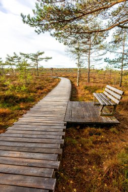 Schwarzen Mağribi - Fladungen - Bavyera yakınlarındaki Rhn 'de kış gezisi
