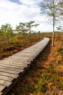 Schwarzen Mağribi - Fladungen - Bavyera yakınlarındaki Rhn 'de kış gezisi