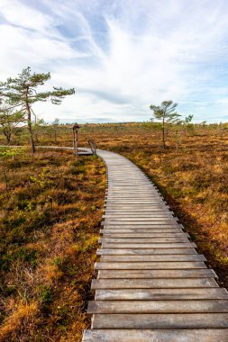 Schwarzen Mağribi - Fladungen - Bavyera yakınlarındaki Rhn 'de kış gezisi