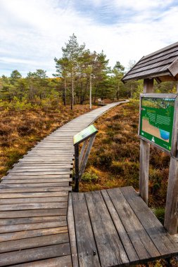 Schwarzen Mağribi - Fladungen - Bavyera yakınlarındaki Rhn 'de kış gezisi