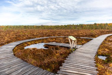 Schwarzen Mağribi - Fladungen - Bavyera yakınlarındaki Rhn 'de kış gezisi