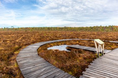 Schwarzen Mağribi - Fladungen - Bavyera yakınlarındaki Rhn 'de kış gezisi
