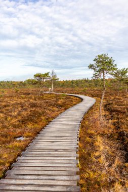 Schwarzen Mağribi - Fladungen - Bavyera yakınlarındaki Rhn 'de kış gezisi