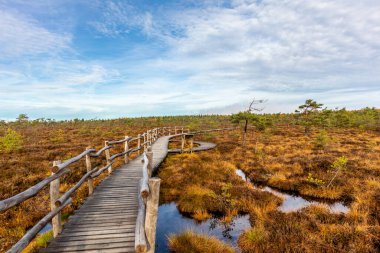 Schwarzen Mağribi - Fladungen - Bavyera yakınlarındaki Rhn 'de kış gezisi