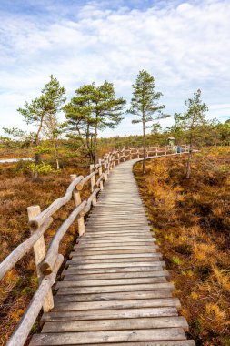 Schwarzen Mağribi - Fladungen - Bavyera yakınlarındaki Rhn 'de kış gezisi