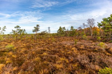 Schwarzen Mağribi - Fladungen - Bavyera yakınlarındaki Rhn 'de kış gezisi