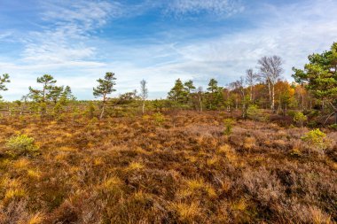Schwarzen Mağribi - Fladungen - Bavyera yakınlarındaki Rhn 'de kış gezisi