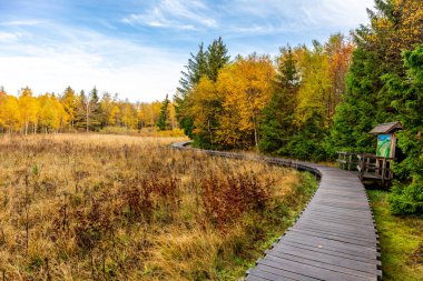 Schwarzen Mağribi - Fladungen - Bavyera yakınlarındaki Rhn 'de kış gezisi