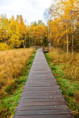 Schwarzen Mağribi - Fladungen - Bavyera yakınlarındaki Rhn 'de kış gezisi
