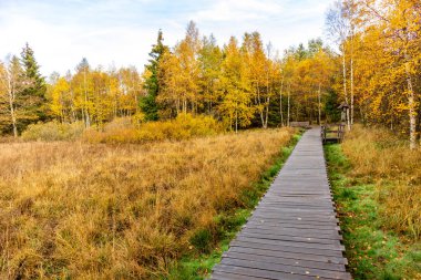 Schwarzen Mağribi - Fladungen - Bavyera yakınlarındaki Rhn 'de kış gezisi